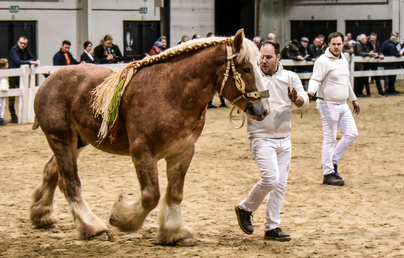 Intangible Cultural Heritage of Belgium